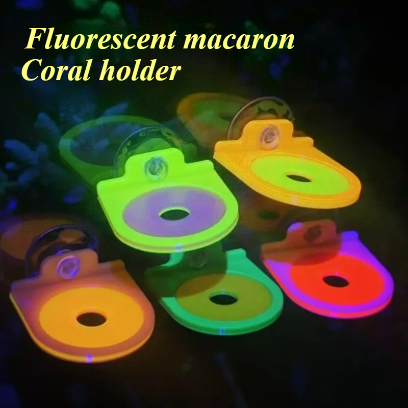Marine Aquarium Live - Cor aleatória coral frag titular suporte
