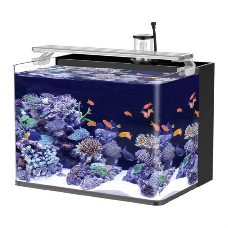 Marine Aquarium Live - Aquário de Mesa Curvo para Peixes