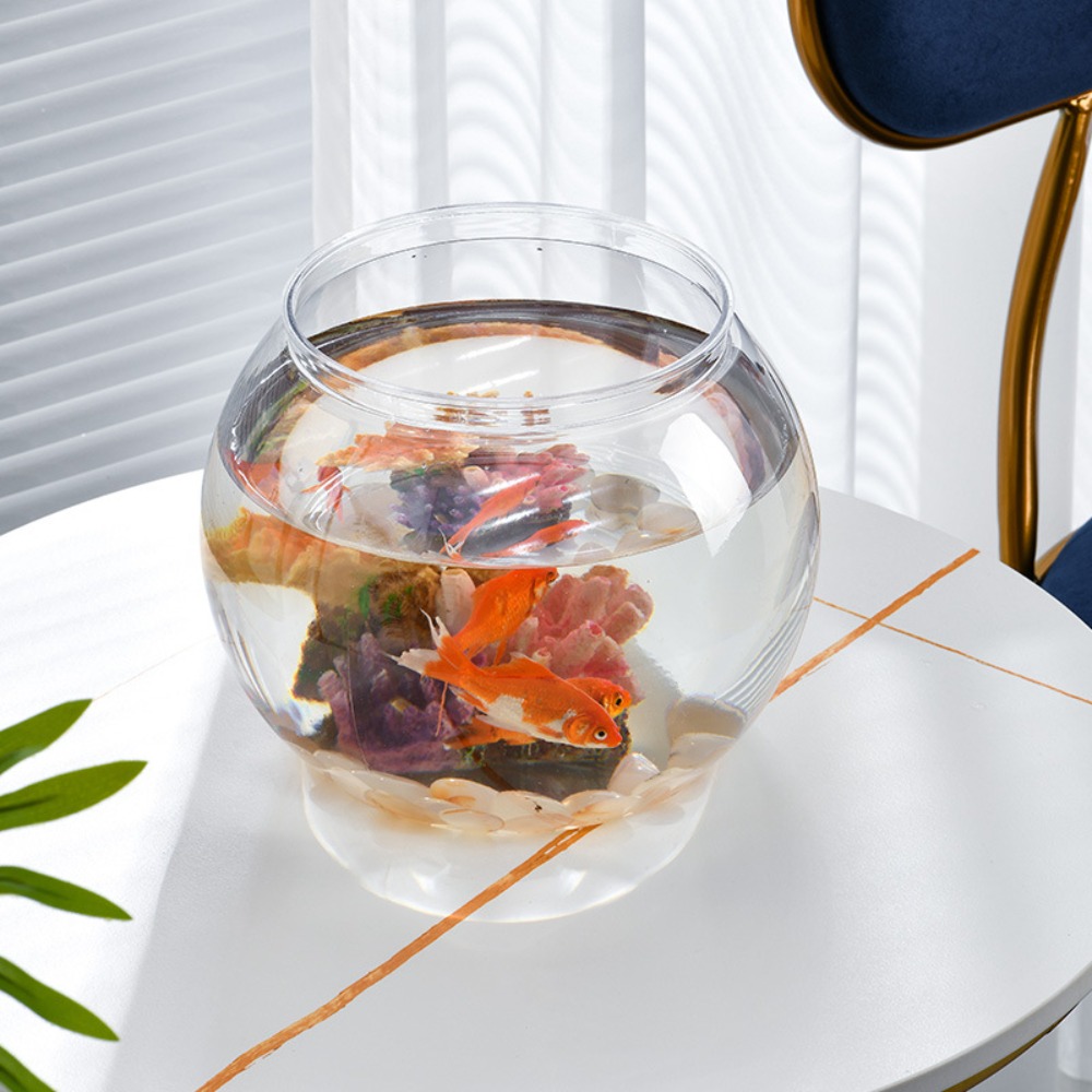 Aquário de mesa transparente e - Marine Aquarium Live avaliação e preço