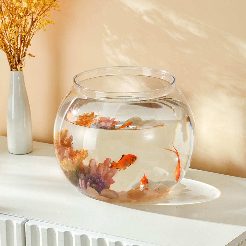 Aquário de mesa transparente e - Marine Aquarium Live avaliação e preço