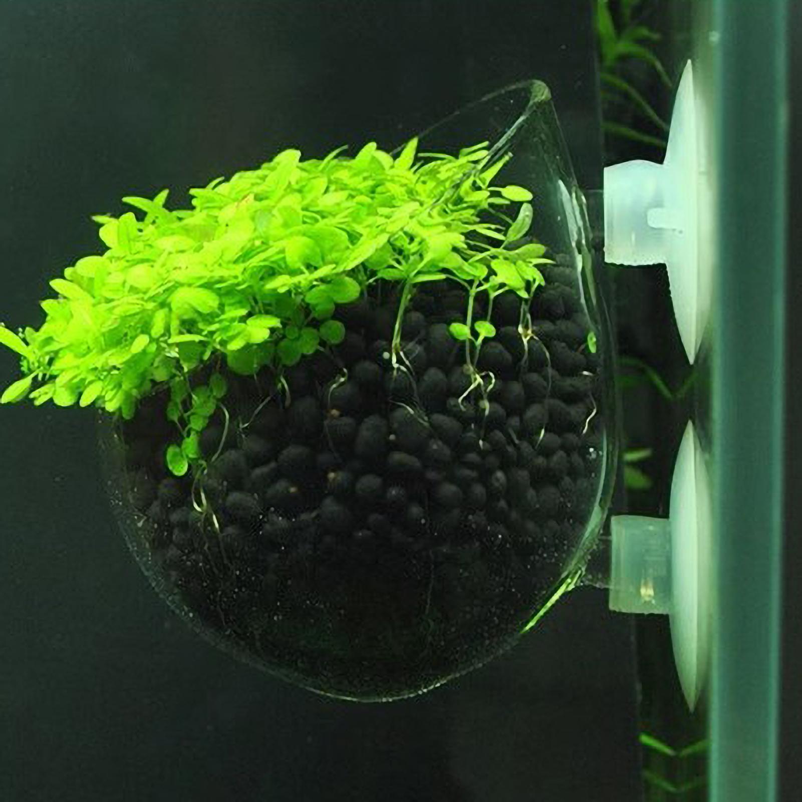 Suporte de Plantas para Aquári - Marine Aquarium Live avaliação e preço