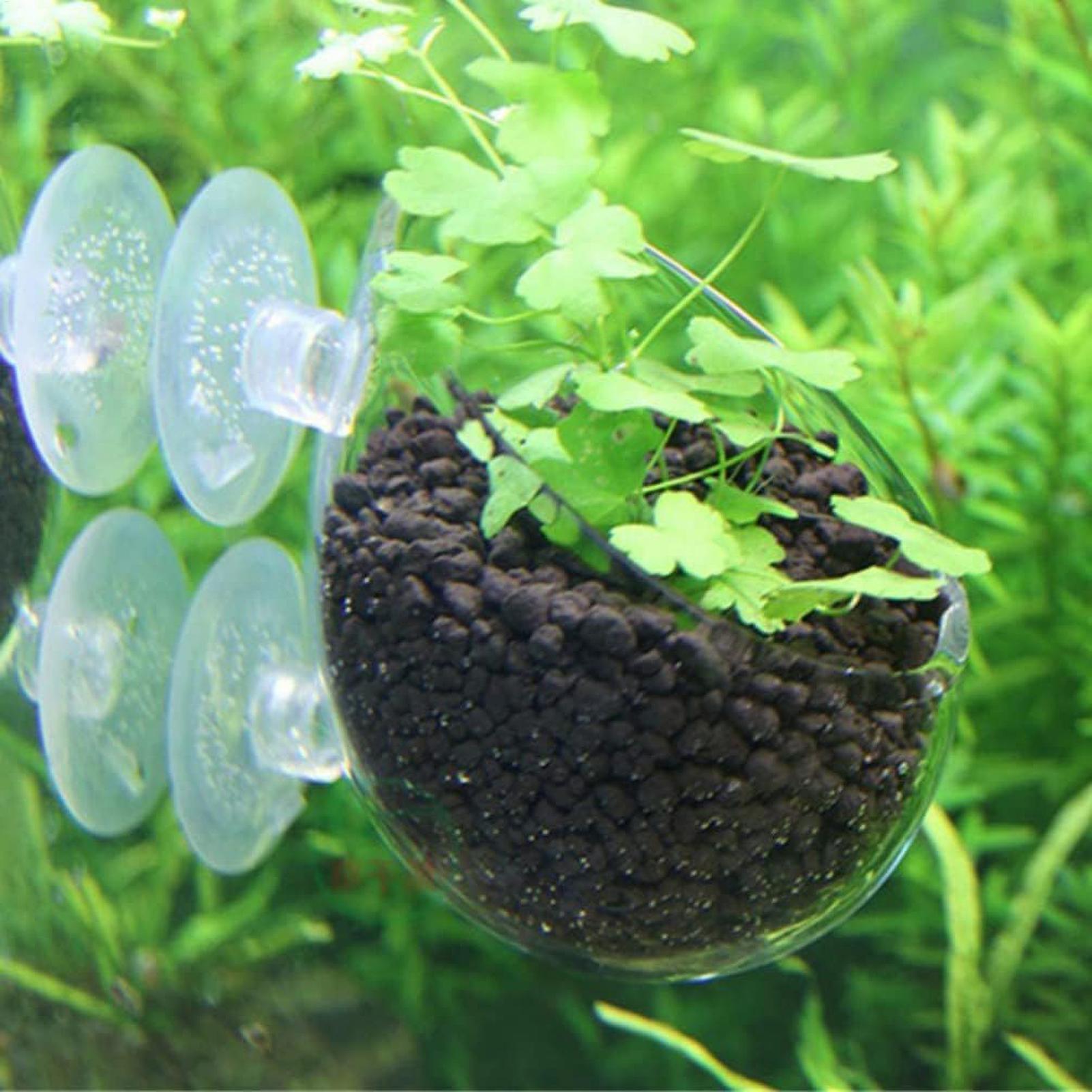 Suporte de Plantas para Aquári - Marine Aquarium Live avaliação e preço