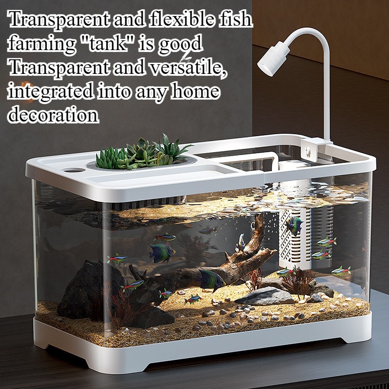 Aquário doméstico para sala de - Marine Aquarium Live avaliação e preço