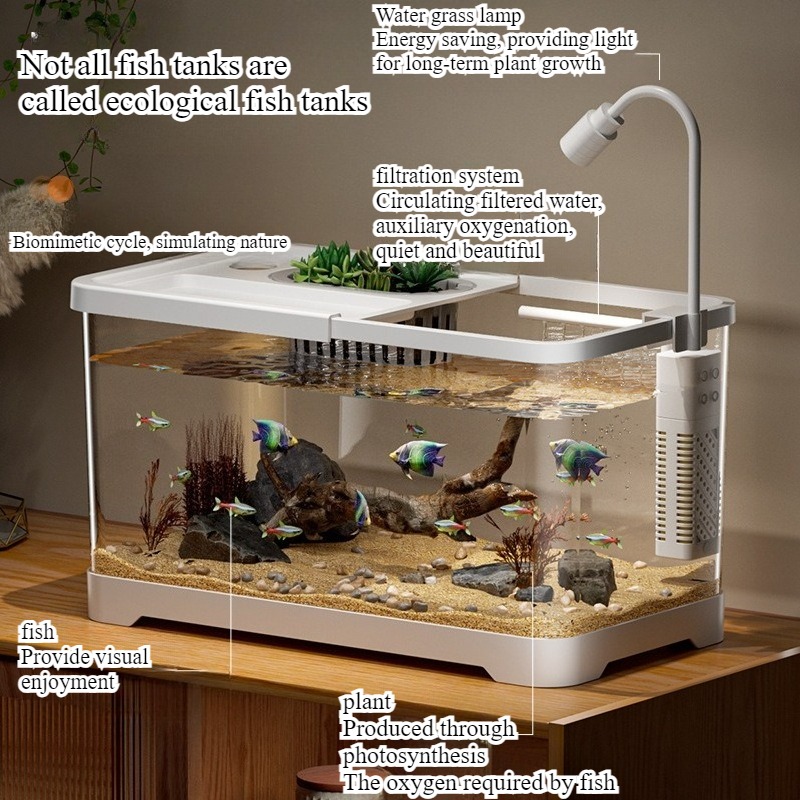 Aquário doméstico para sala de - Marine Aquarium Live avaliação e preço