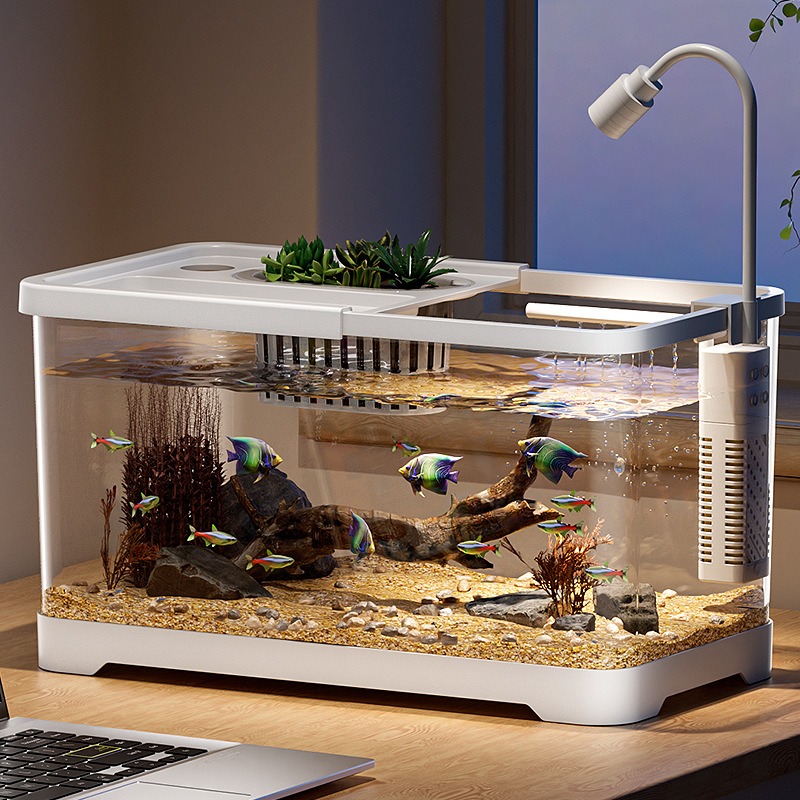 Aquário doméstico para sala de - Marine Aquarium Live avaliação e preço