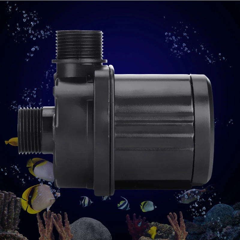 110-240v estrela do mar vermel - Protein Skimmer Hang On avaliação e preço