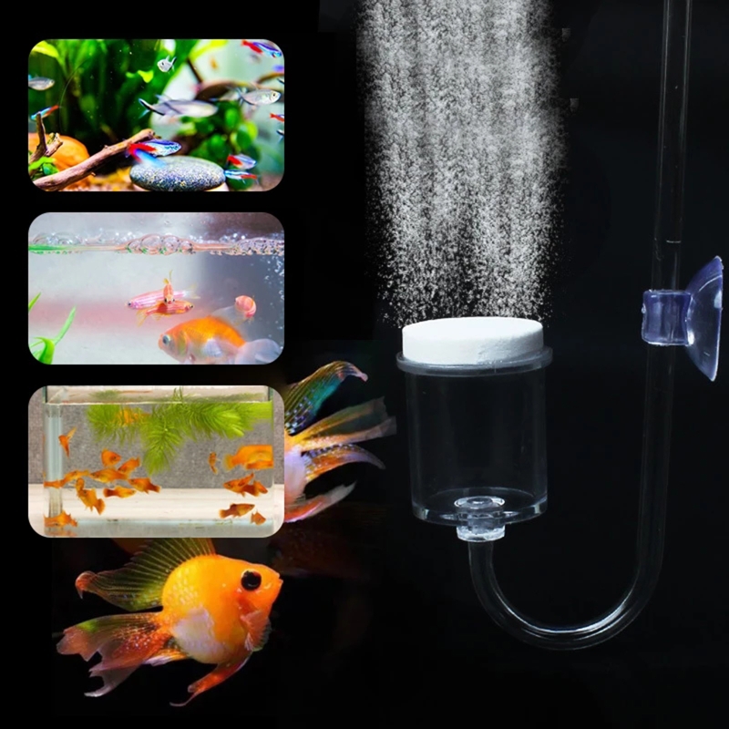 CO2 Difusor para Aquário, DIY  - Marine Aquarium Live avaliação e preço