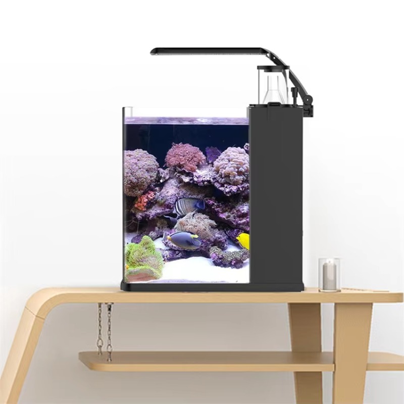 Aquário de Mesa Curvo para Pei - Marine Aquarium Live avaliação e preço