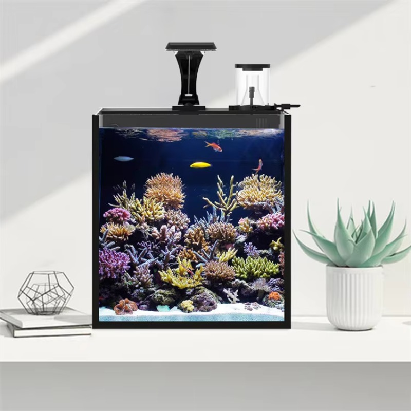Aquário de Mesa Curvo para Pei - Marine Aquarium Live avaliação e preço