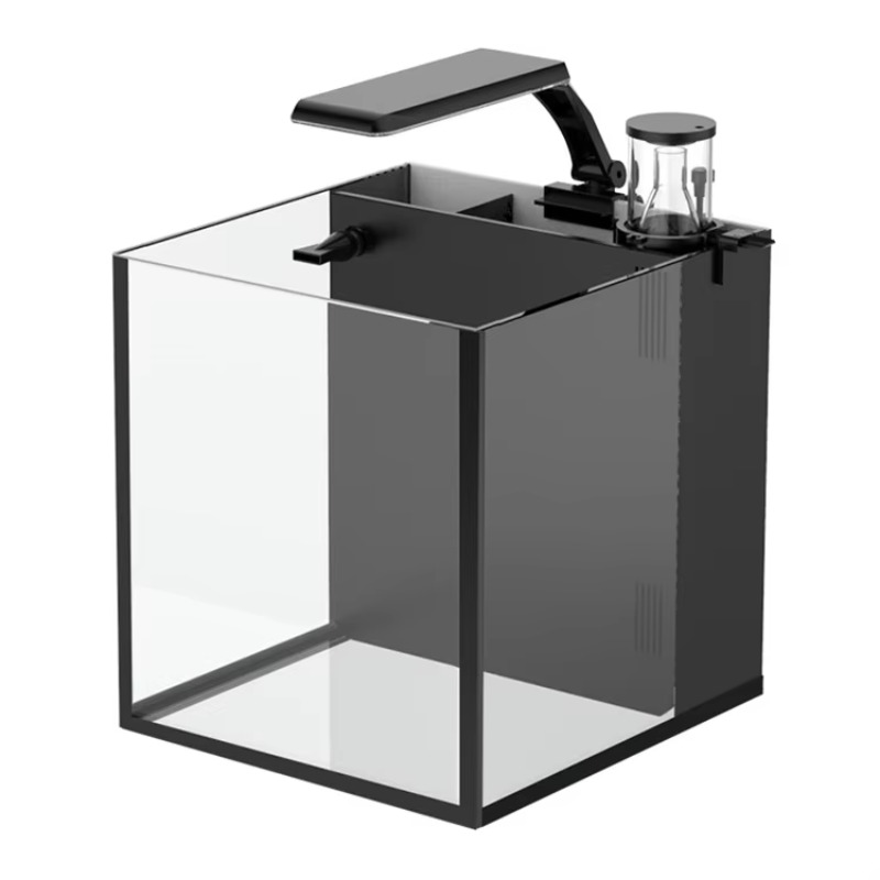 Aquário de Mesa Curvo para Pei - Marine Aquarium Live avaliação e preço