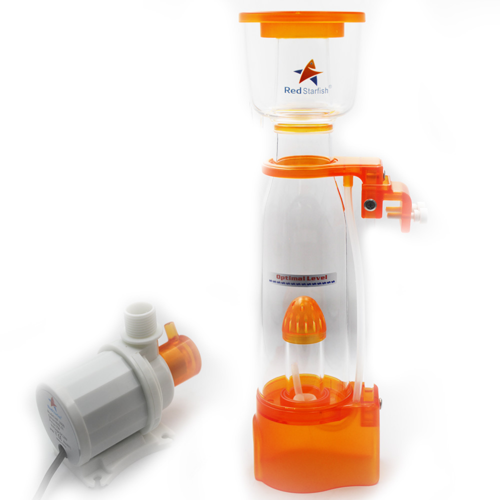 Estrela do mar vermelho novo p - Protein Skimmer Hang On avaliação e preço
